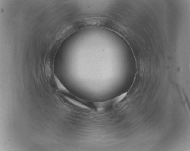 X0000071941394200607281932