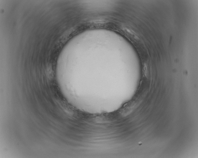 X0000071941395200607281932