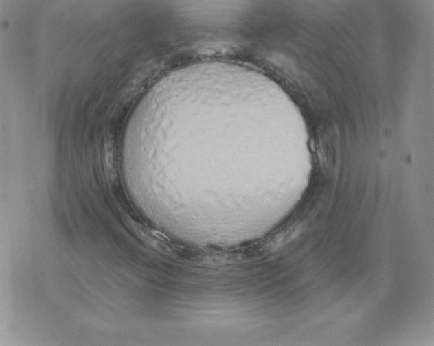 X0000071941396200607281932