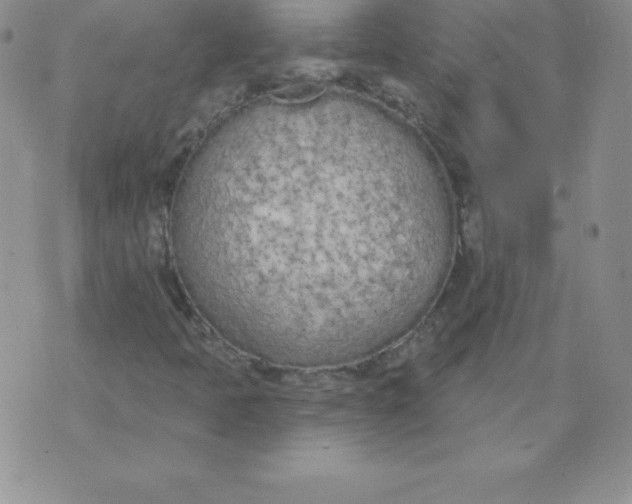 X0000071941397200607281932