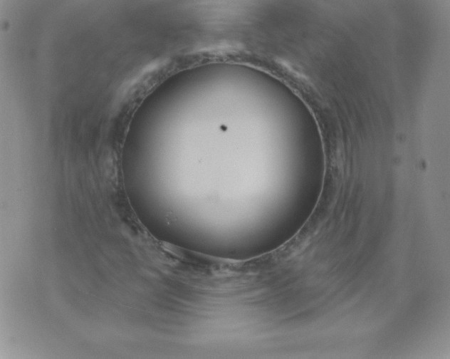 X0000071941398200607281932