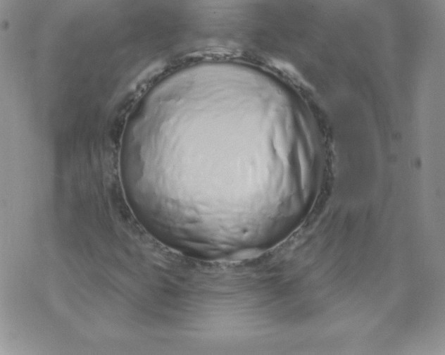 X0000071941399200607281932