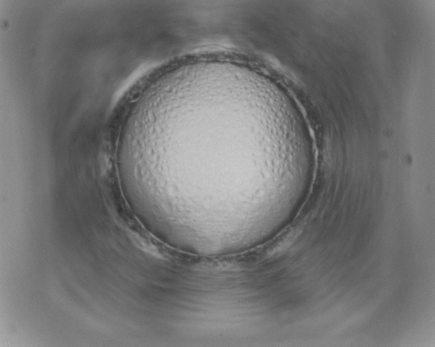 X0000071941400200607281932