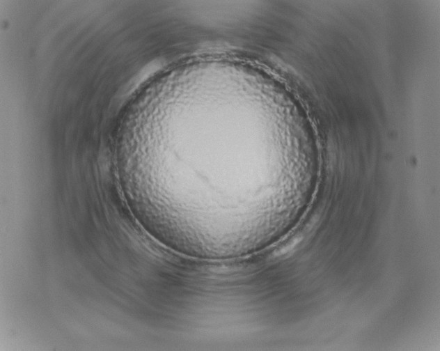 X0000071941401200607281932