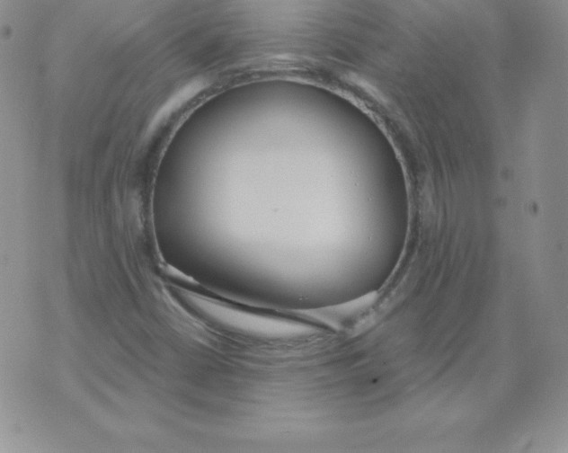 X0000071941402200607281932