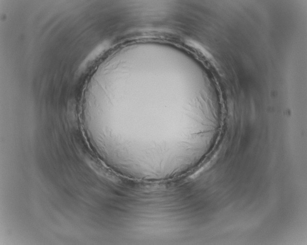 X0000071941403200607281932