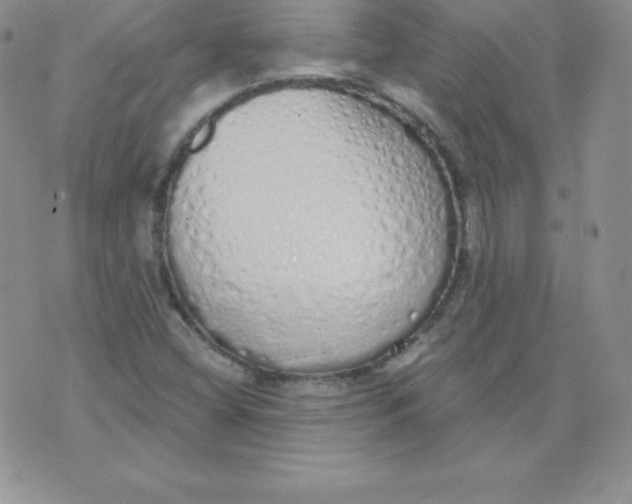 X0000071941404200607281932