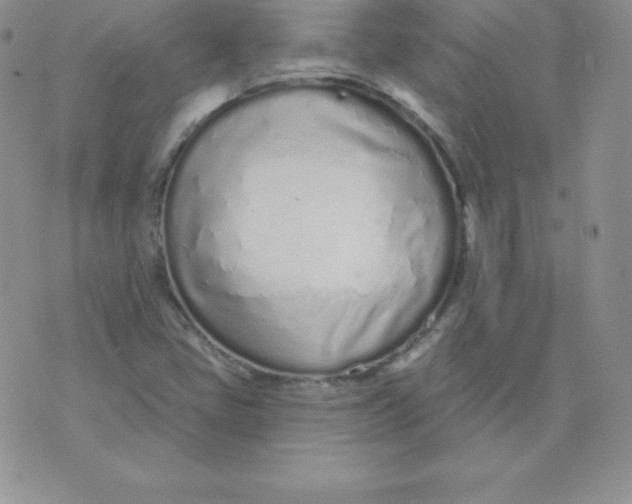 X0000071941405200607281932