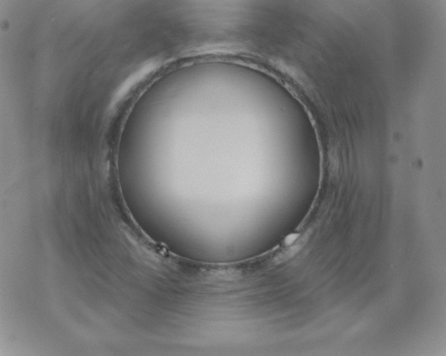 X0000071941406200607281932