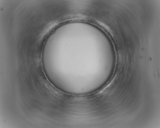 X0000071941407200607281932