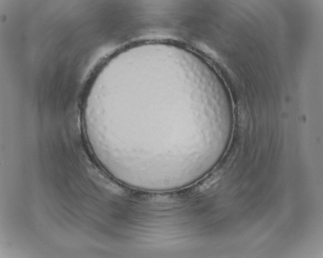 X0000071941408200607281932