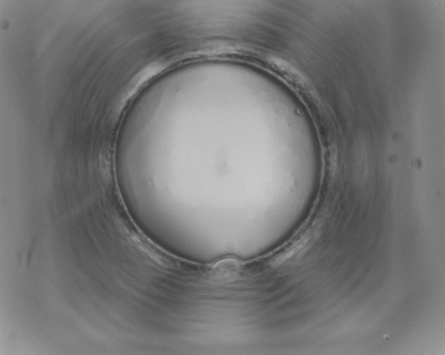 X0000071941409200607281932