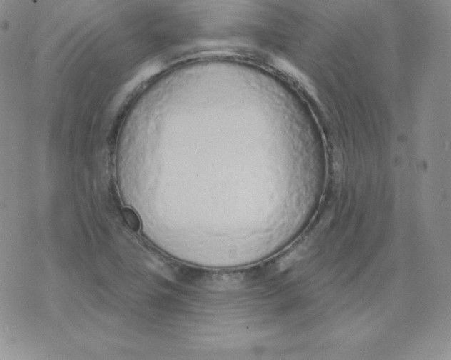 X0000071941411200607281932