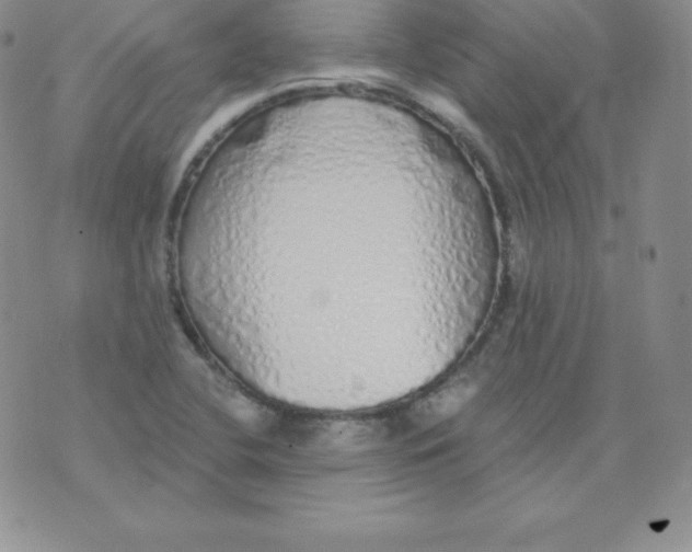 X0000071941412200607281932