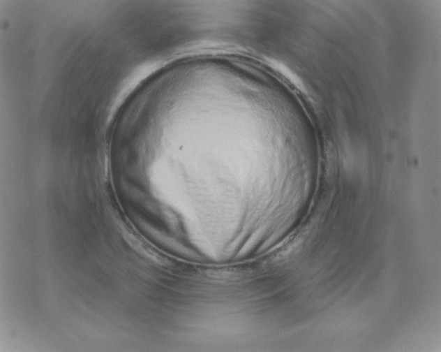 X0000071941413200607281932