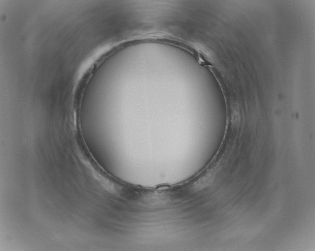 X0000071941414200607281932