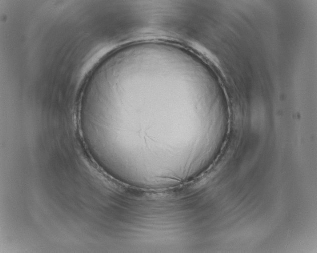 X0000071941415200607281932