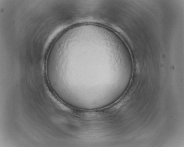 X0000071941416200607281932