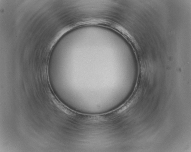 X0000071941417200607281932