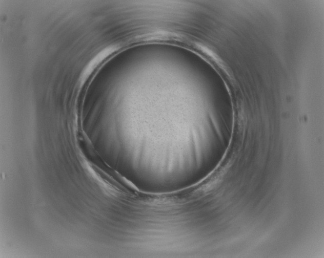 X0000071941418200607281932