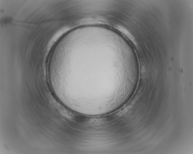 X0000071941419200607281932