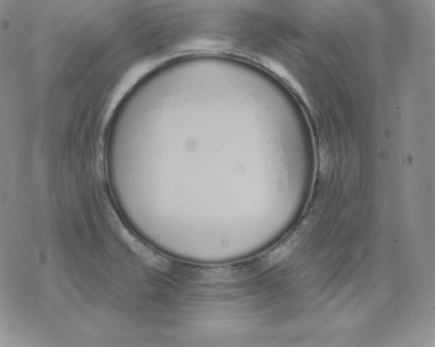 X0000071941421200607281932