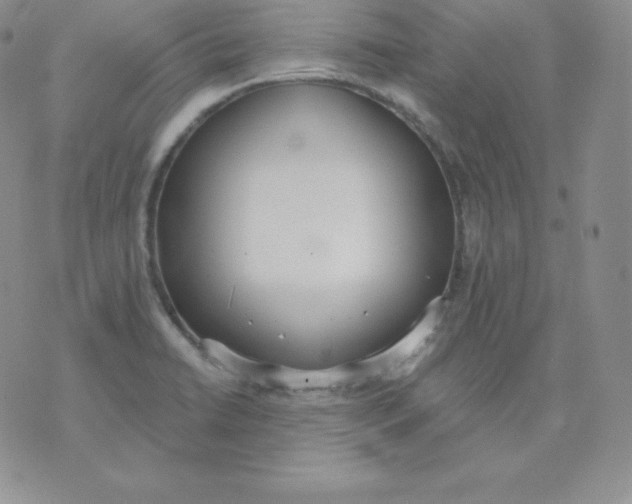 X0000071941422200607281932