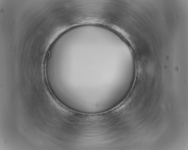 X0000071941423200607281932