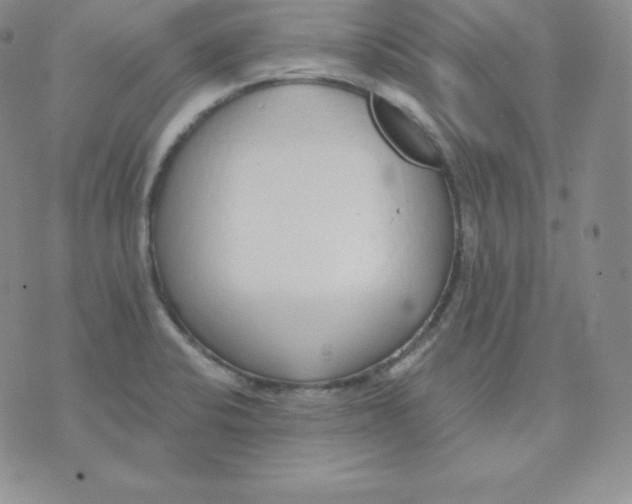 X0000071941424200607281932