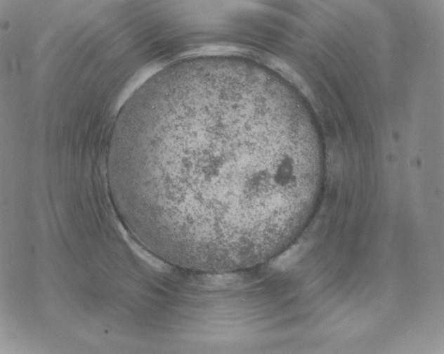 X0000071941425200607281932