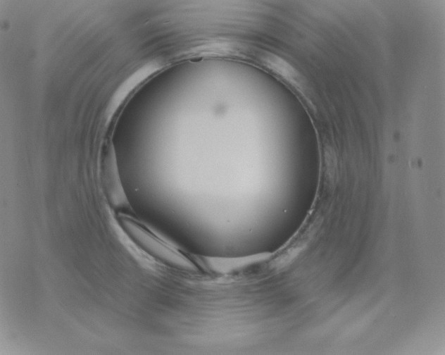 X0000071941426200607281932