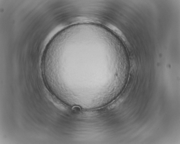 X0000071941427200607281932