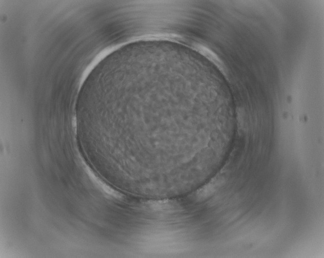 X0000071941428200607281932