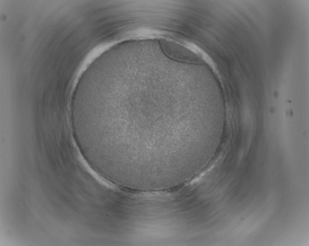 X0000071941429200607281932