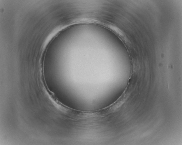 X0000071941430200607281932