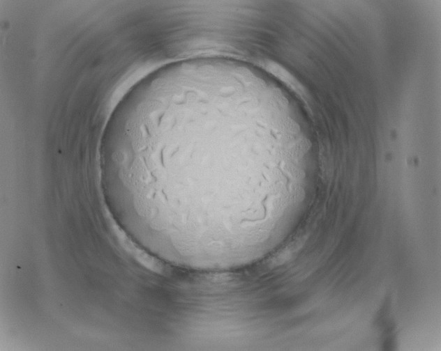 X0000071941431200607281932