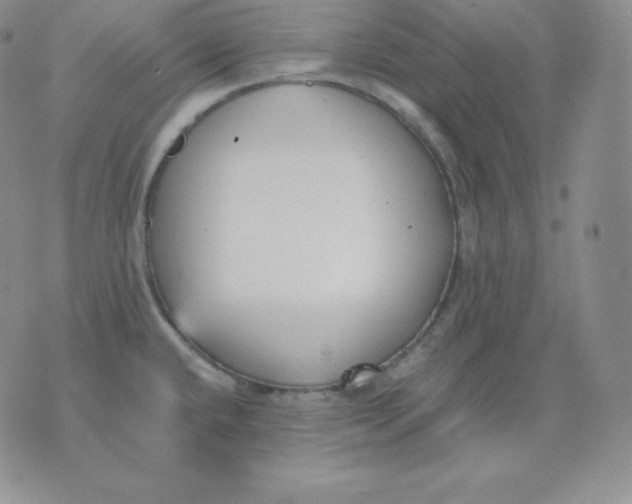 X0000071941432200607281932