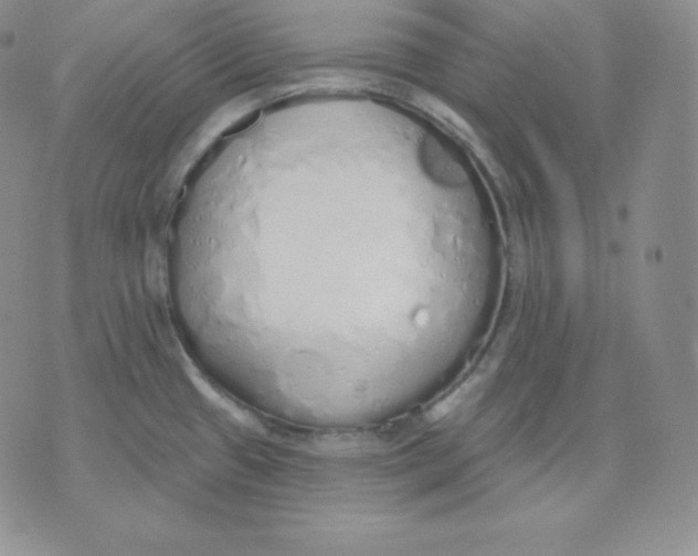 X0000071941433200607281932