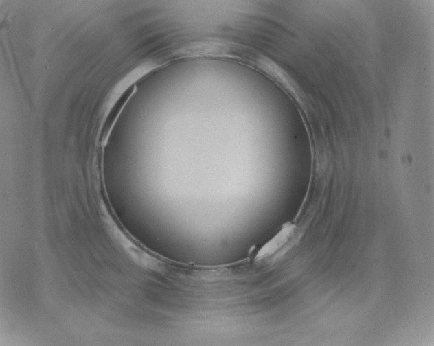 X0000071941434200607281932