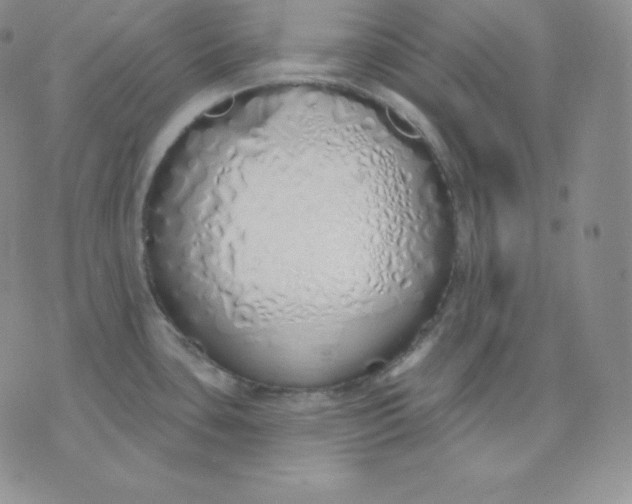 X0000071941435200607281932