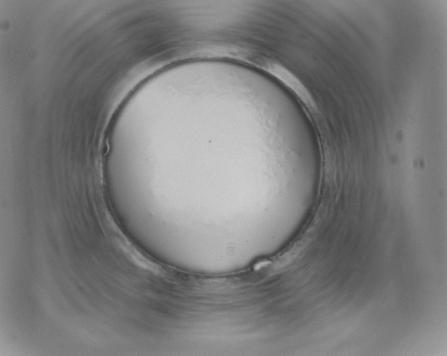 X0000071941436200607281932