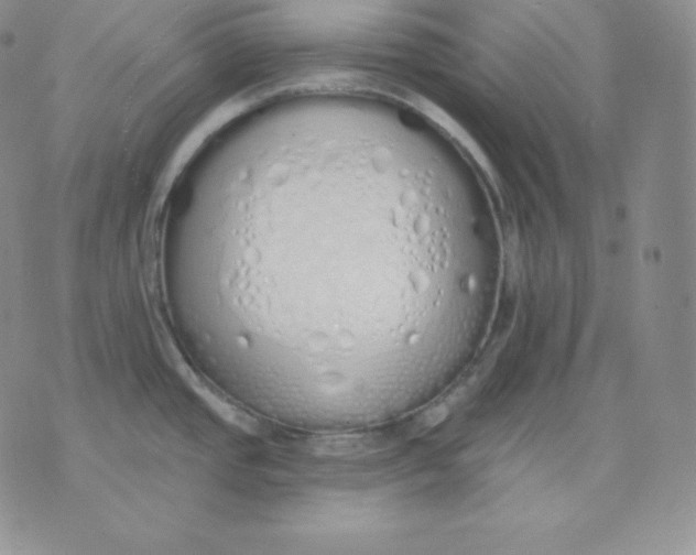 X0000071941437200607281932