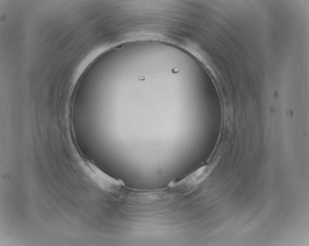 X0000071941438200607281932