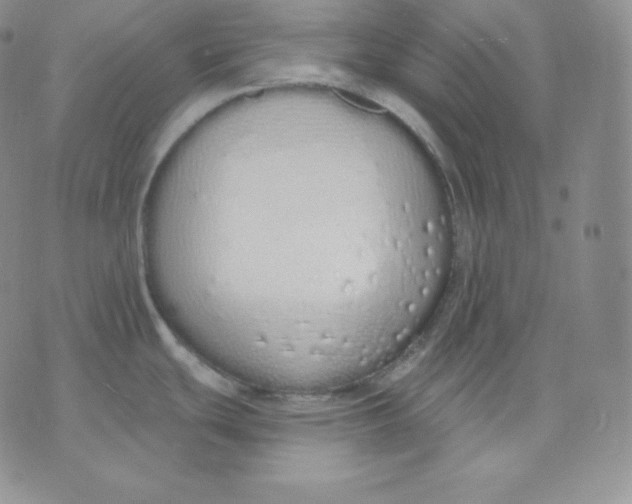 X0000071941439200607281932