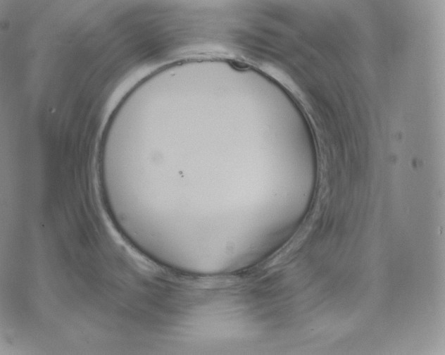 X0000071941440200607281932