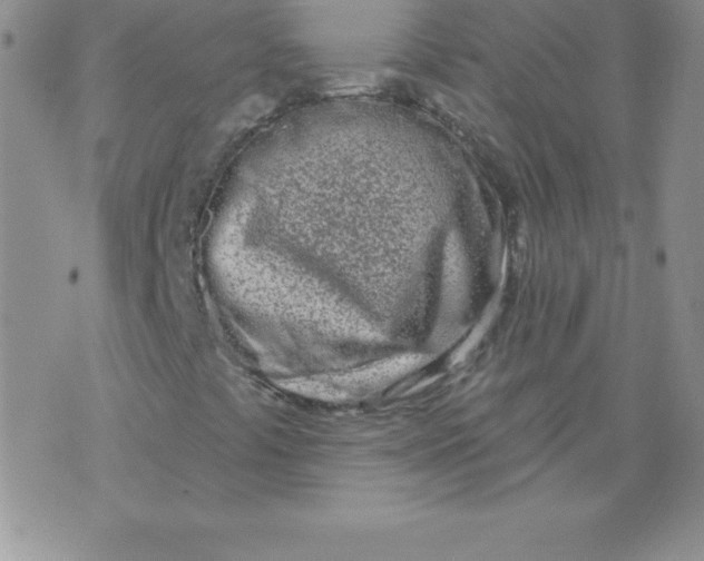 X0000071941441200607281932