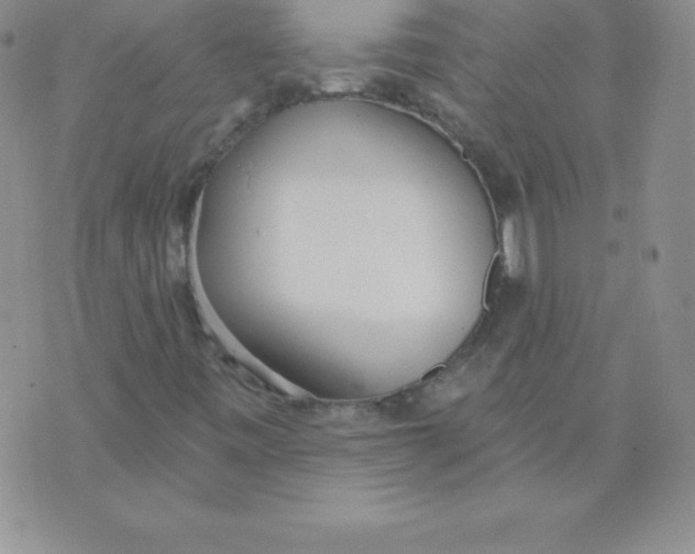 X0000071941443200607281932