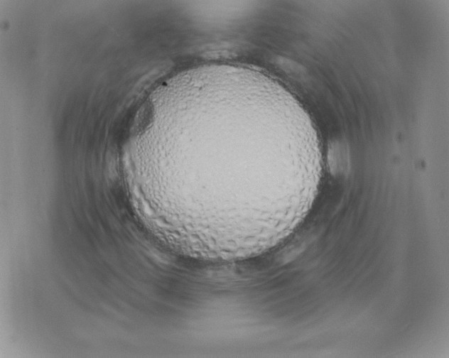 X0000071941444200607281932