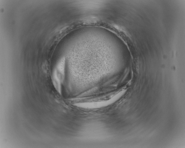 X0000071941445200607281932