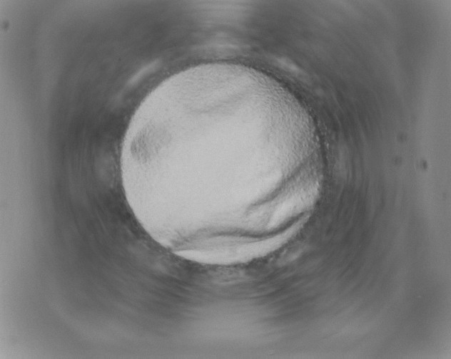 X0000071941446200607281932